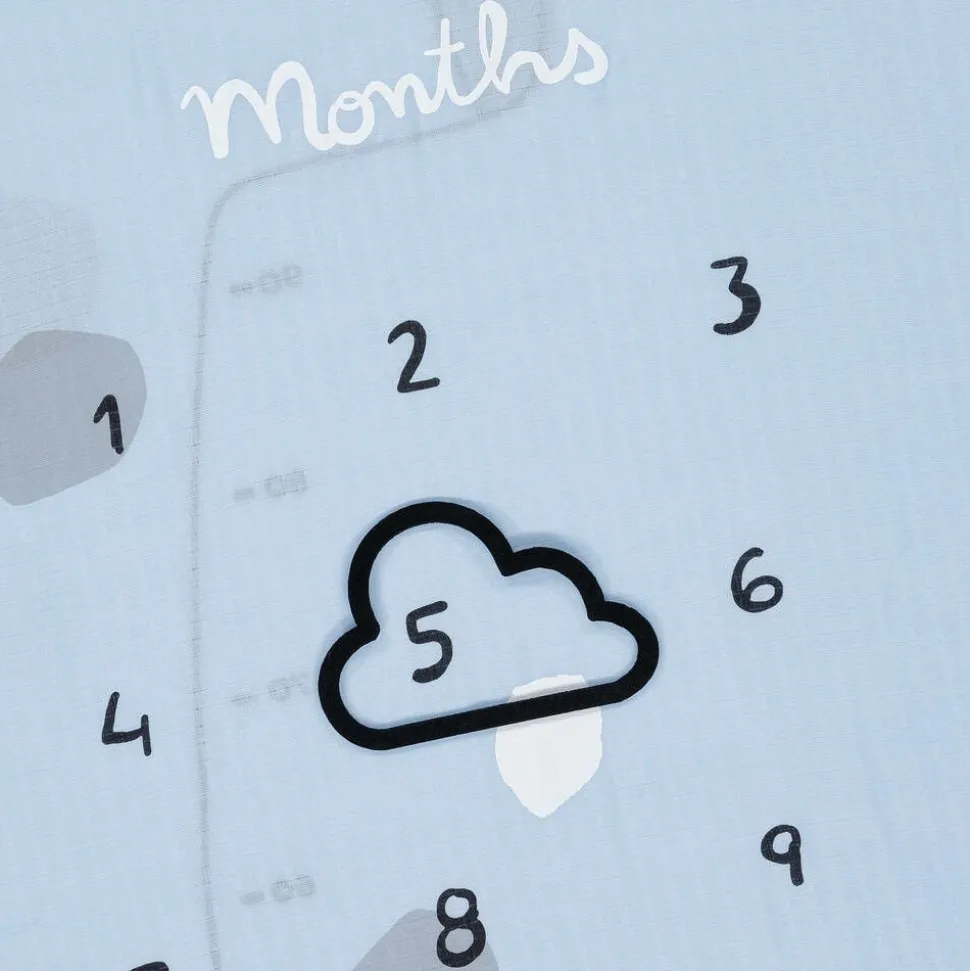 Blue Cotton Baby Milestone Swaddles (2 Pack)