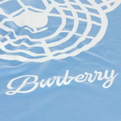 Blue Thomas Bear Baby Blanket (87cm)