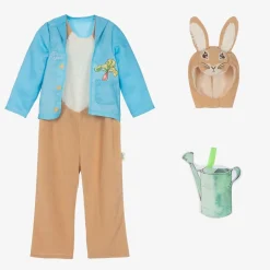 Boys Brown Peter Rabbit Costume