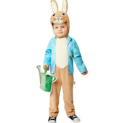 Boys Brown Peter Rabbit Costume