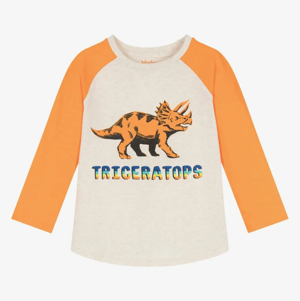 Boys Orange Cotton Dinosaur Top