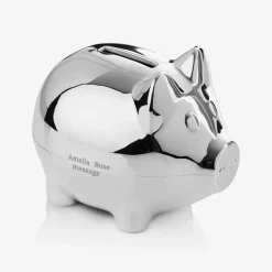 Personalised Silver Money Box (12cm)