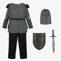 Silver Knight Dressing-Up Costume